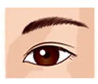 正常な開眼状態