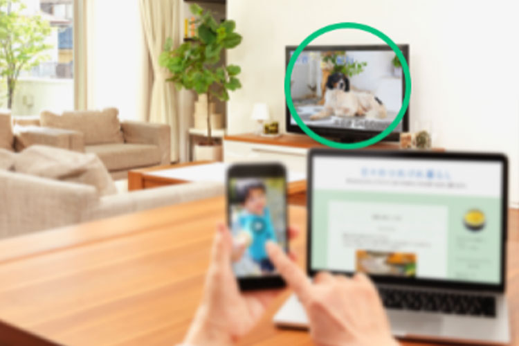 単焦点眼内レンズ